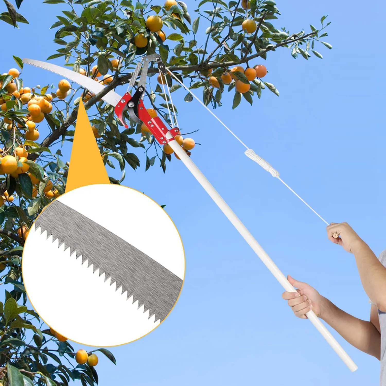 Garosa outil d’élagage à scie 34,5 cm, sans perche extensible
