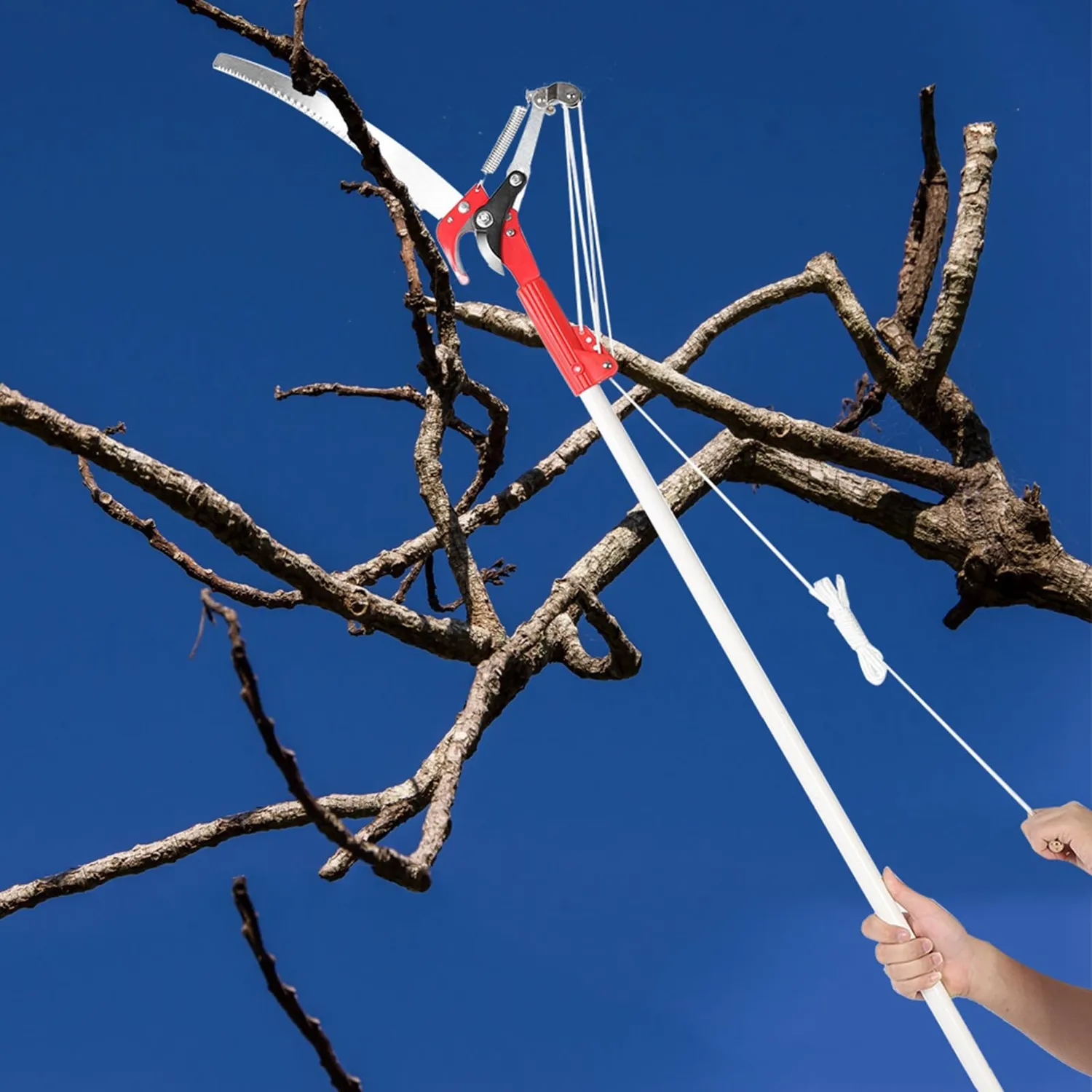 Garosa tête d’élagage à 4 roues scie et taille-haie sans perche