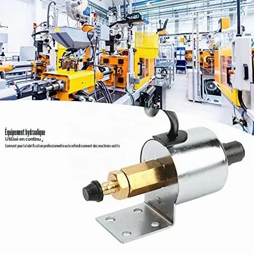 Garosa pompe huile électromagnétique AC220V 13W inox