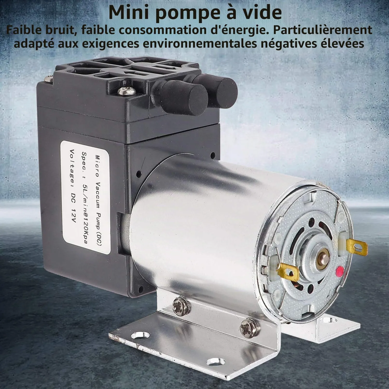 Garosa mini pompe à vide 12V 5L/min 120kPa avec support