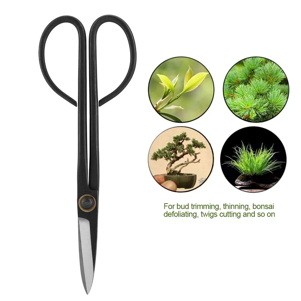 Garosa ciseaux d’élagage 205 mm en acier inoxydable à pointes fines