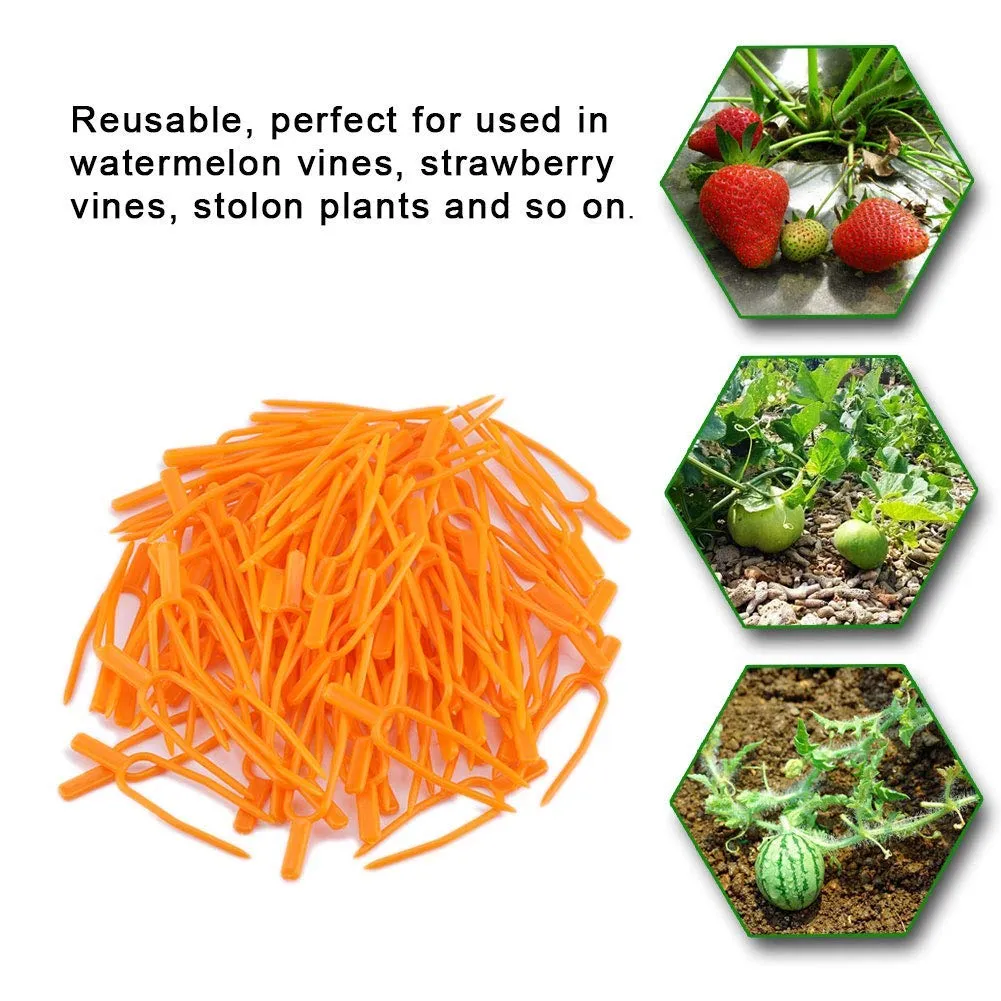 Garosa Clips de fixation pour plantes 100 pièces réutilisables en plastique