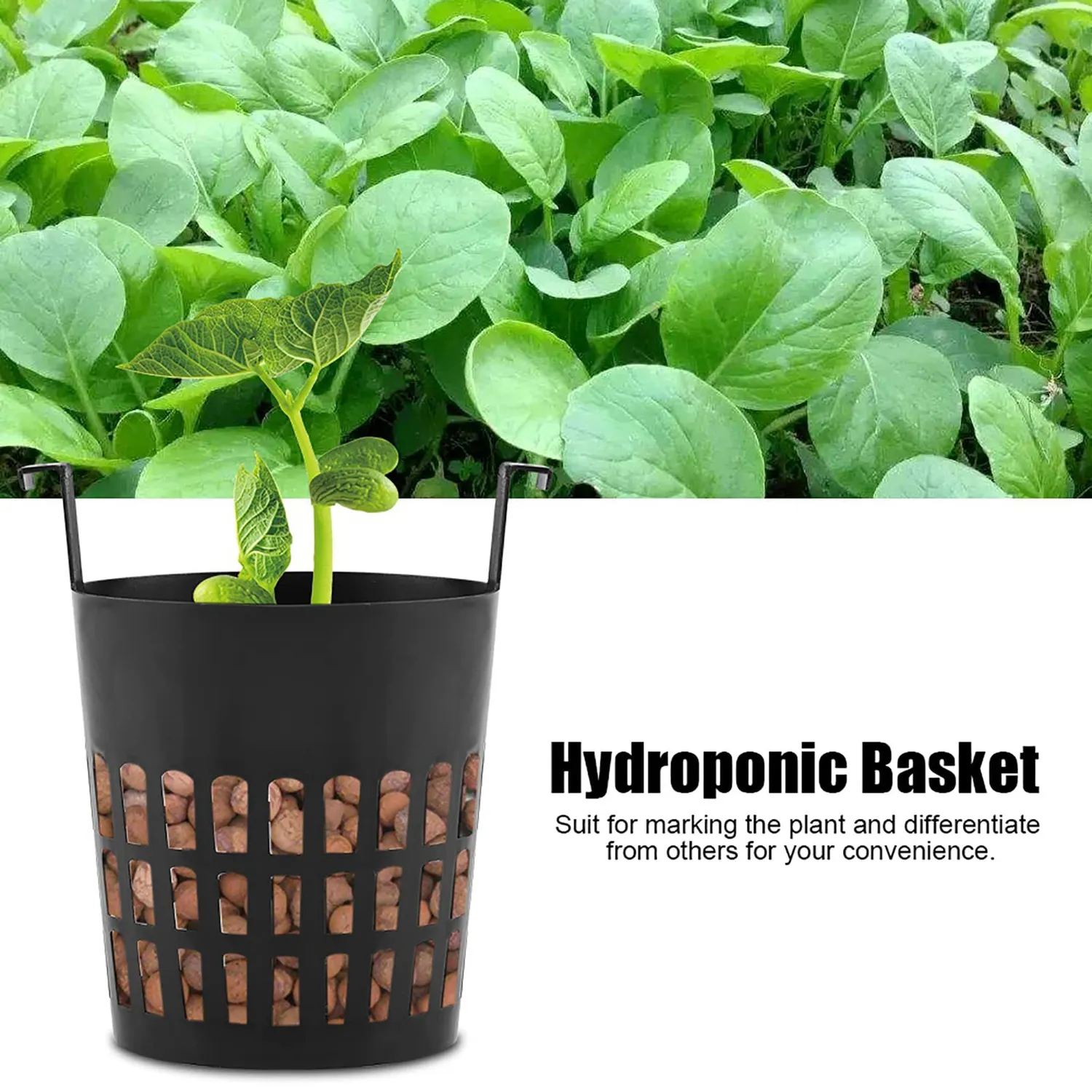 Garosa paniers plantation hydroponique 10 pcs 70 mm