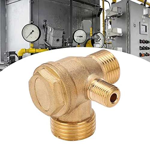 Garosa Clapet anti-retour pour compresseur d’air en laiton 1/2 × 3/8, lot de 10