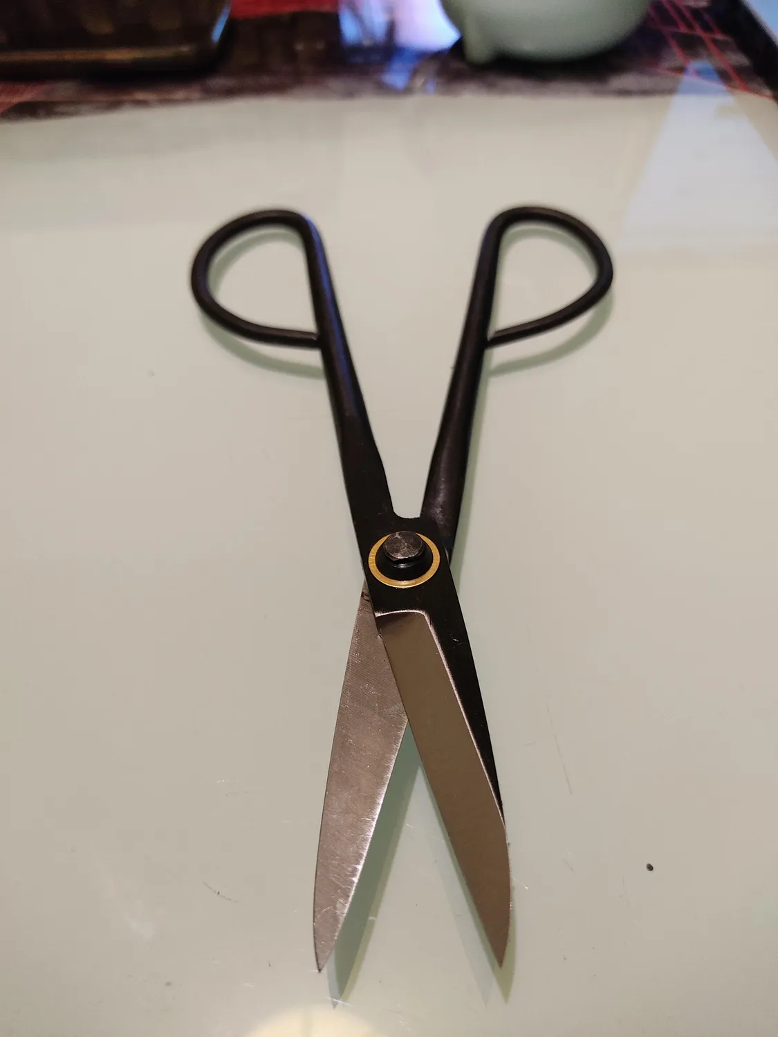 Garosa ciseaux d’élagage 205 mm en acier inoxydable à pointes fines