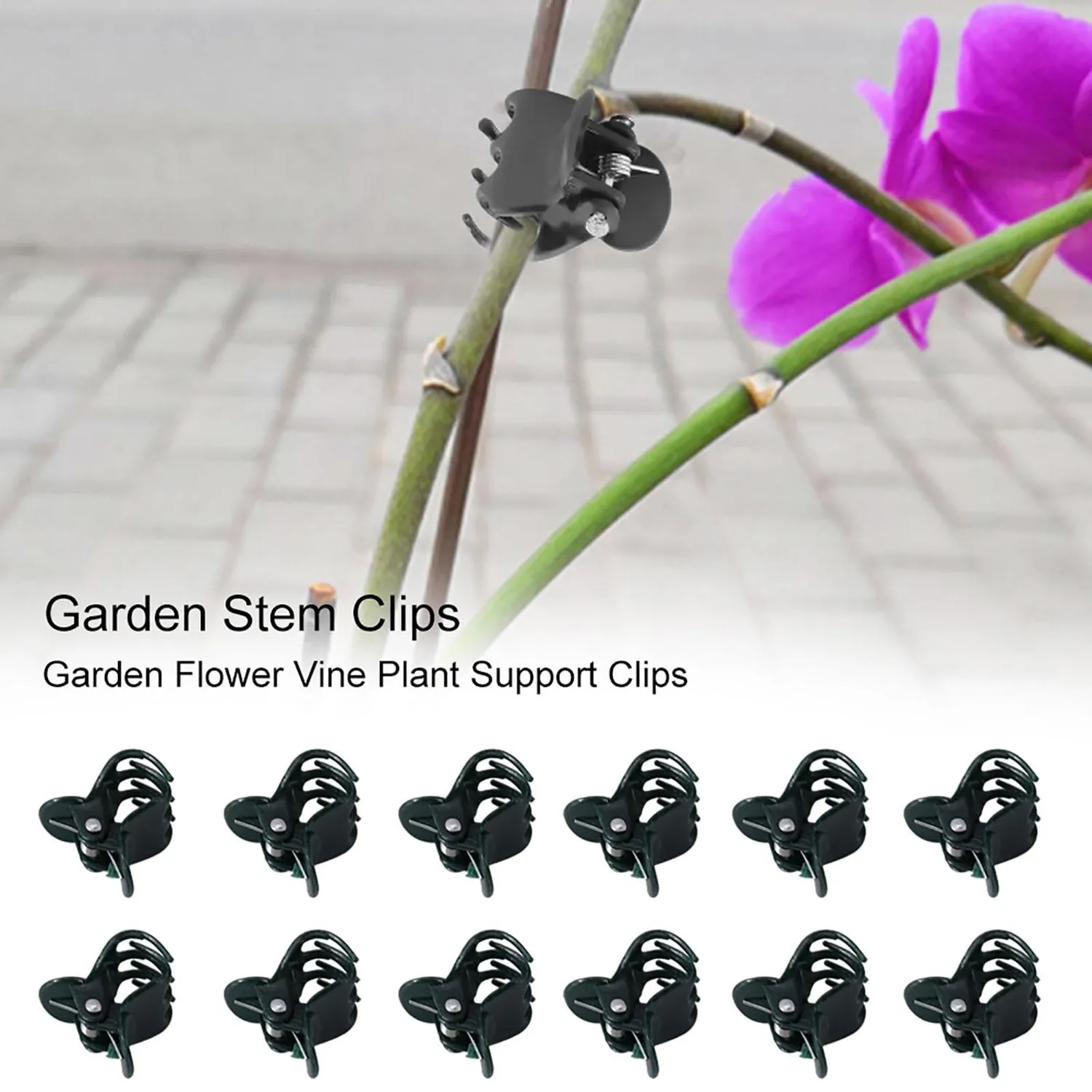 Garosa clips pour orchidées 100 pièces noirs 1,8 × 1,5 cm