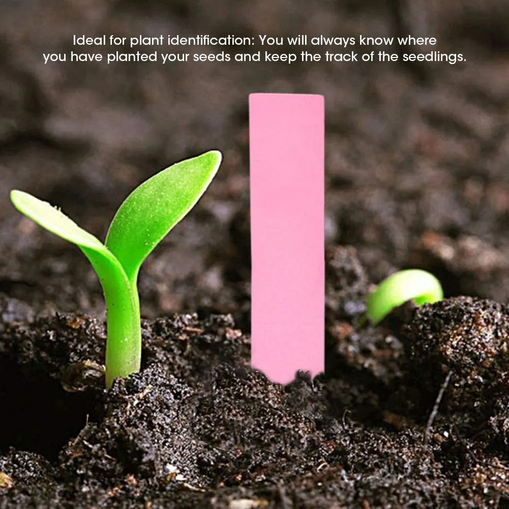 Garosa étiquettes plantes plastique 100 pcs rose 10 cm