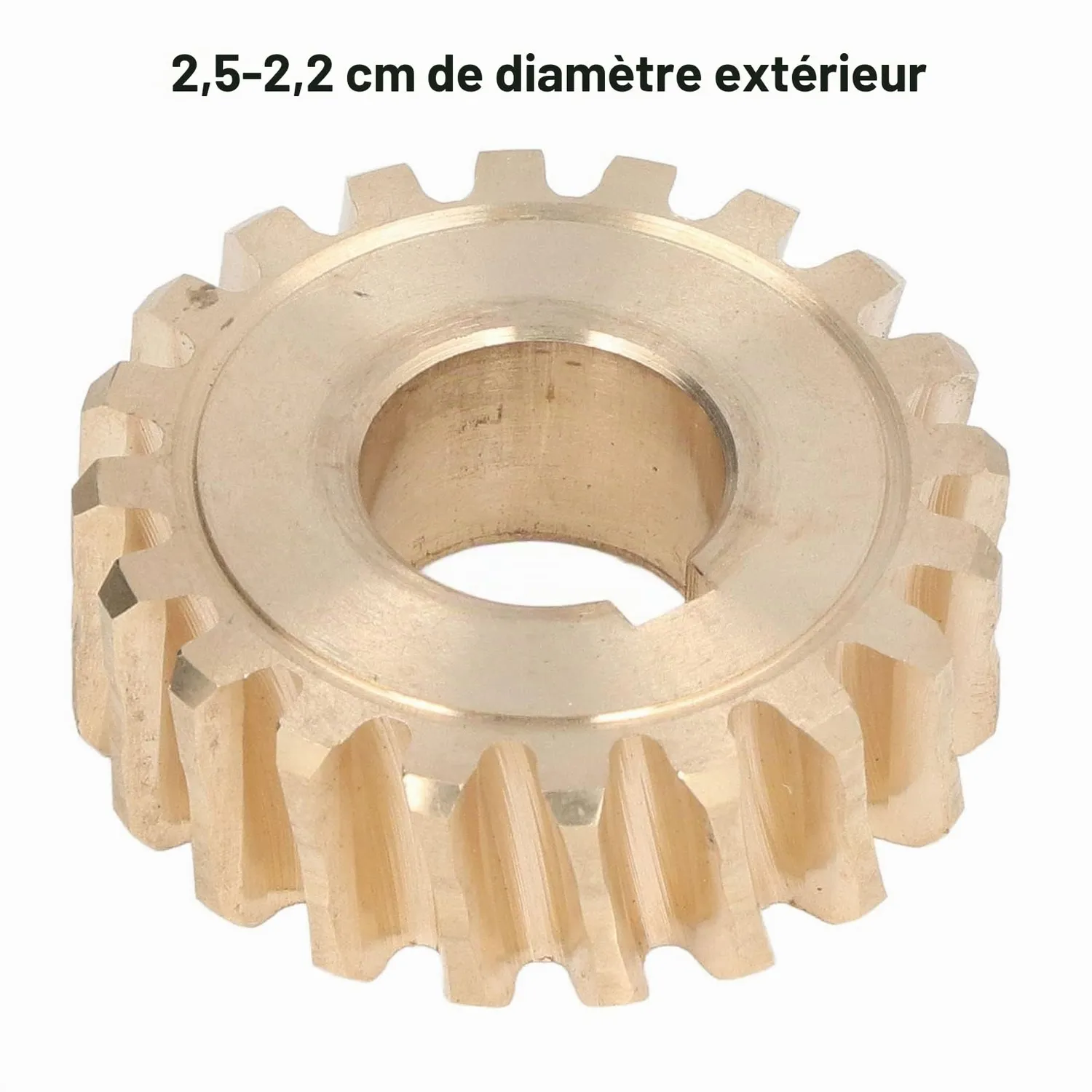 Garosa engrenage vis sans fin laiton 20 dents 1-7/8 pouce