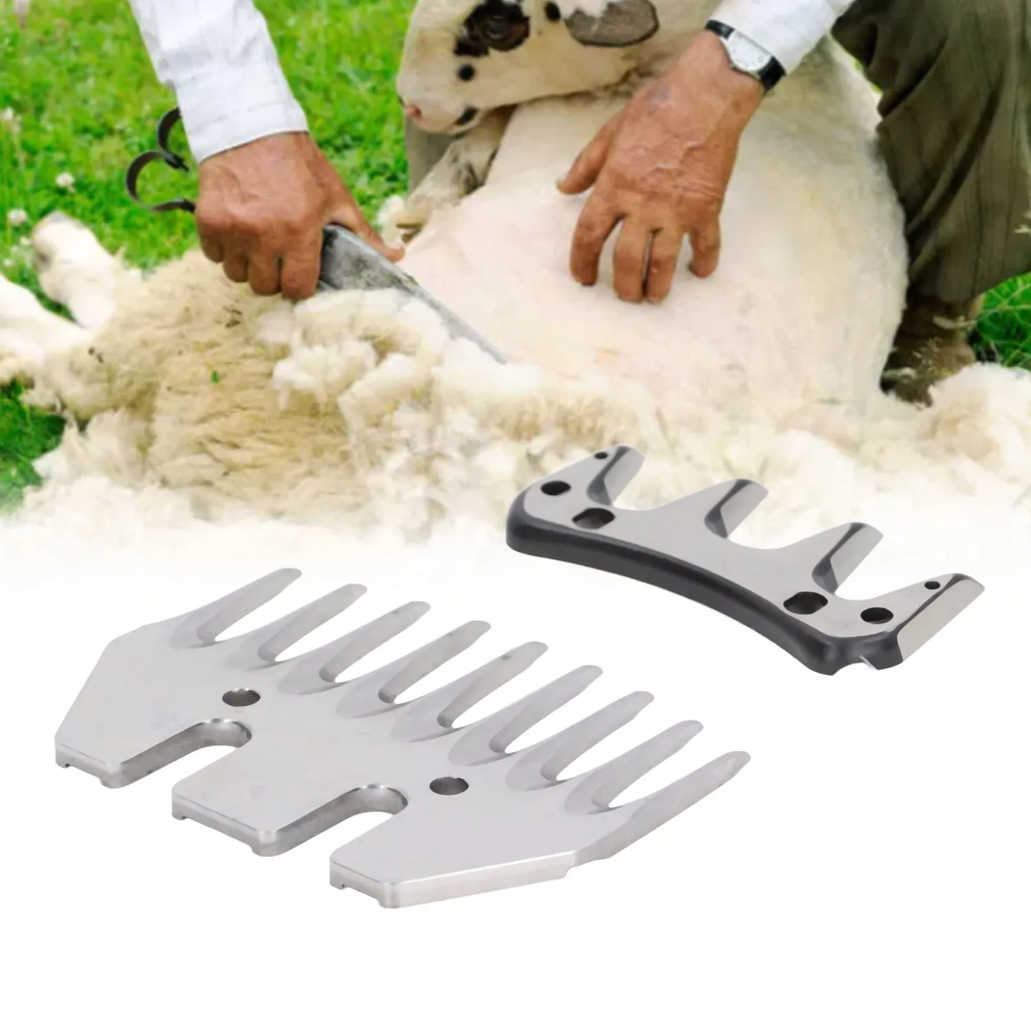 Garosa lame de tonte mouton 9 dents lot de 2 acier carbone