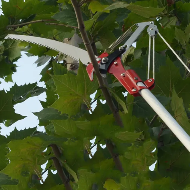 Garosa tête d’élagage à 4 roues scie et taille-haie sans perche