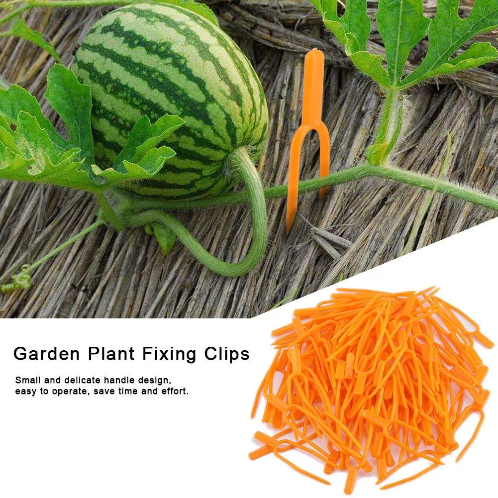 Garosa Clips de fixation pour plantes 100 pièces réutilisables en plastique