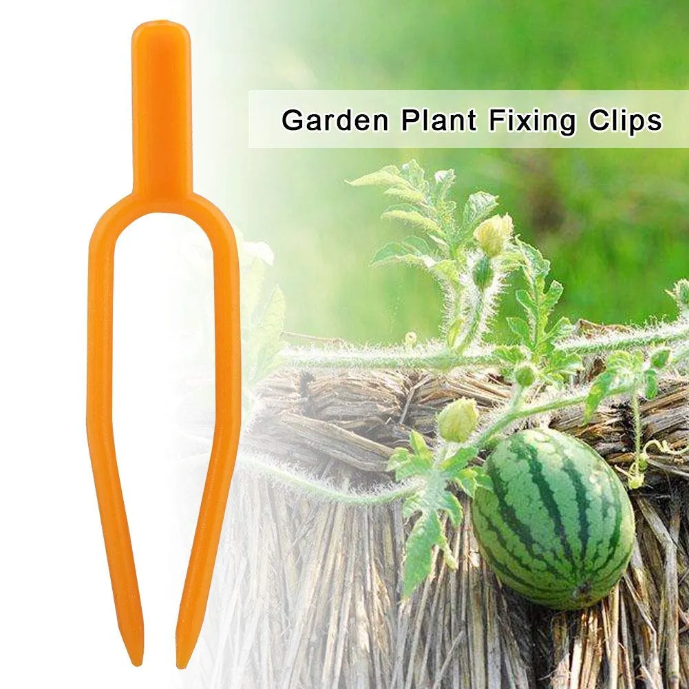 Garosa Clips de fixation pour plantes 100 pièces réutilisables en plastique