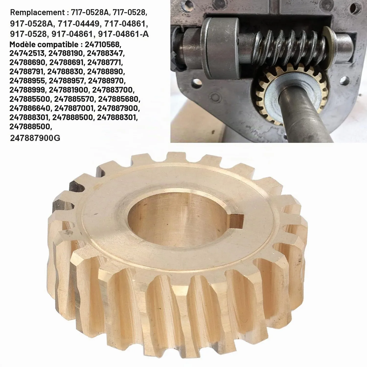 Garosa engrenage vis sans fin laiton 20 dents 1-7/8 pouce