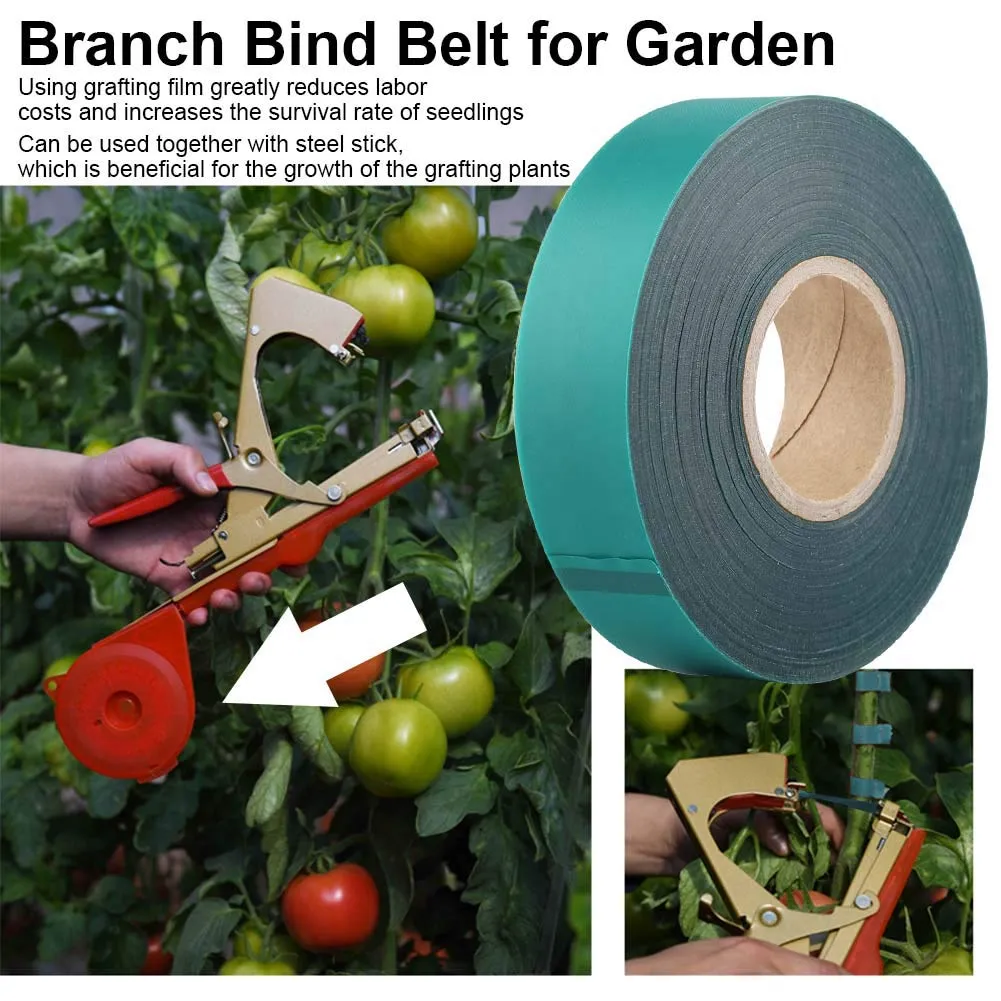 Garosa Ruban de greffage PVC vert 2,4 cm × 45 m