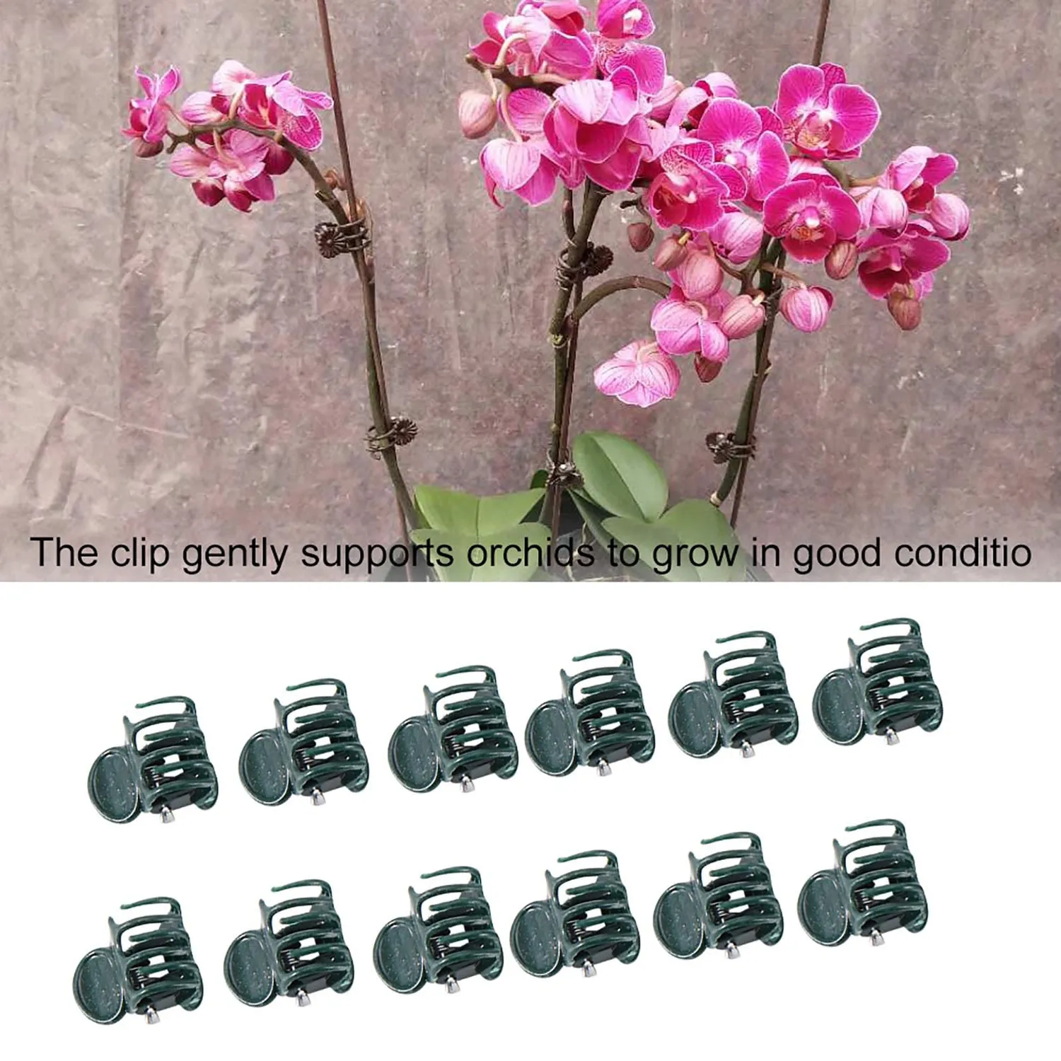 Garosa clips pour orchidées 100 pièces noirs 1,8 × 1,5 cm