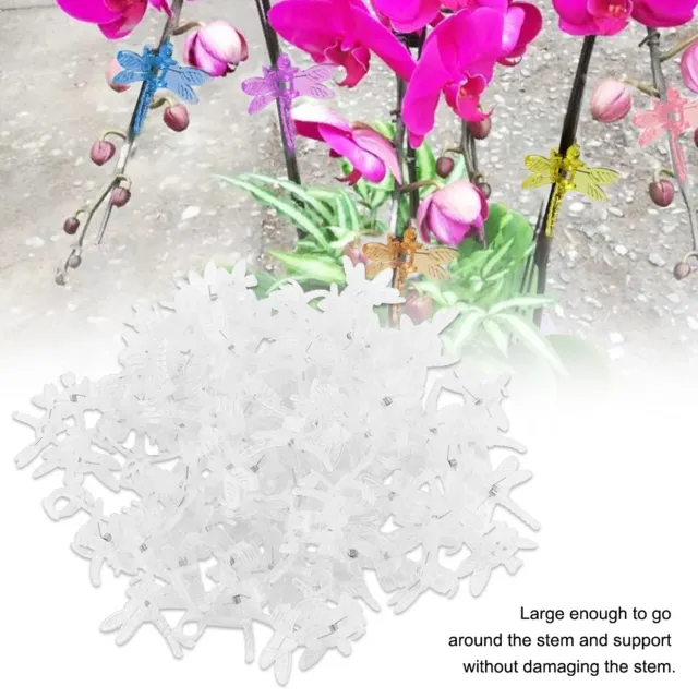 Garosa pince d’orchidée 3,5 × 3,5 cm transparente, lot de 100