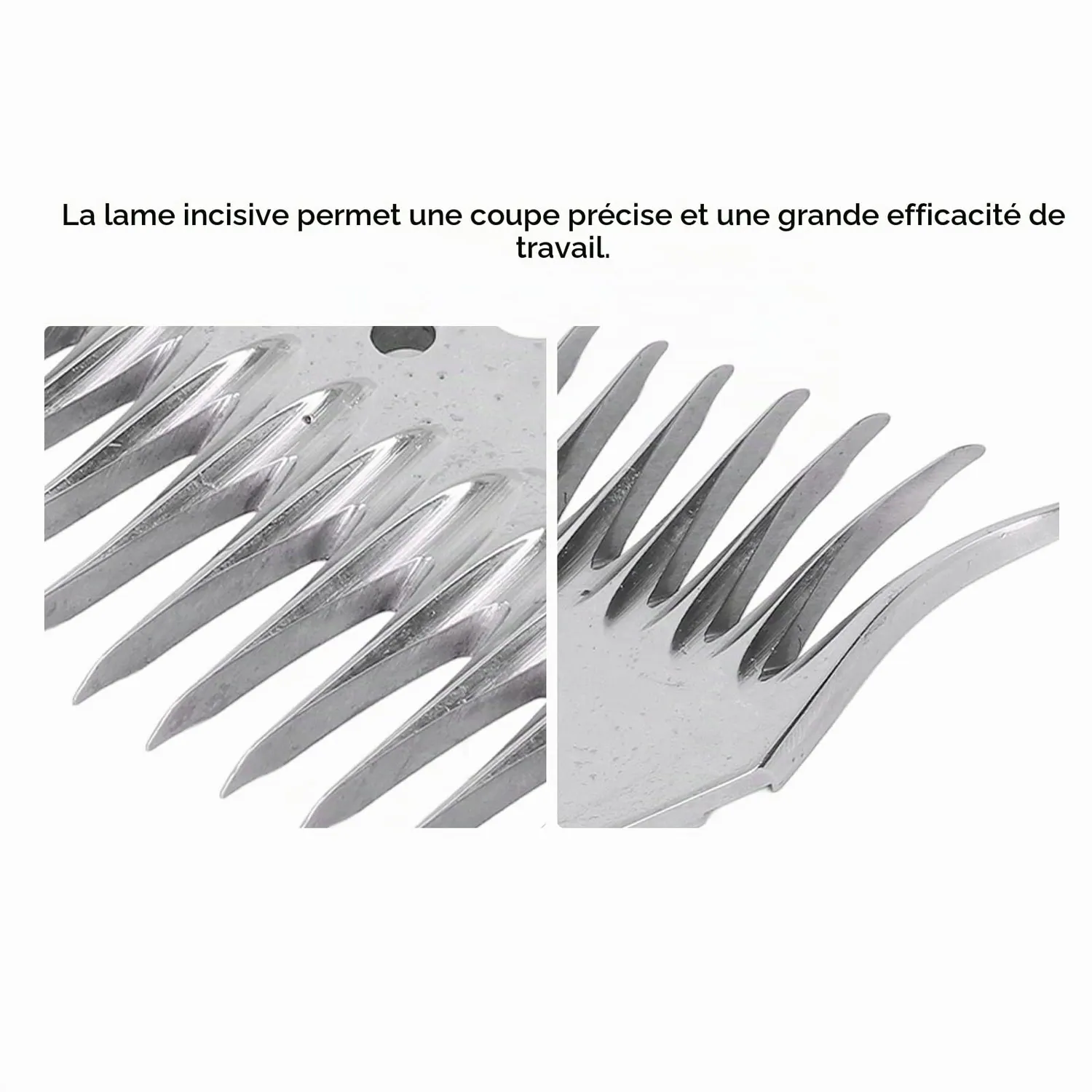 Garosa lame de tonte 13 dents pour mouton acier carbone 2 pièces incurvées