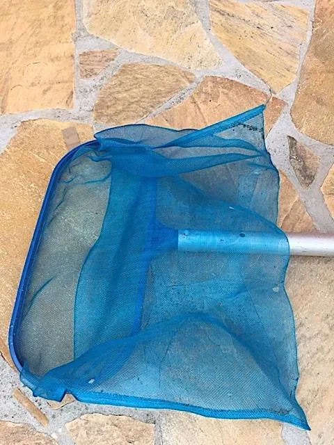 Garosa épuisette de piscine à feuilles bleu filet fin