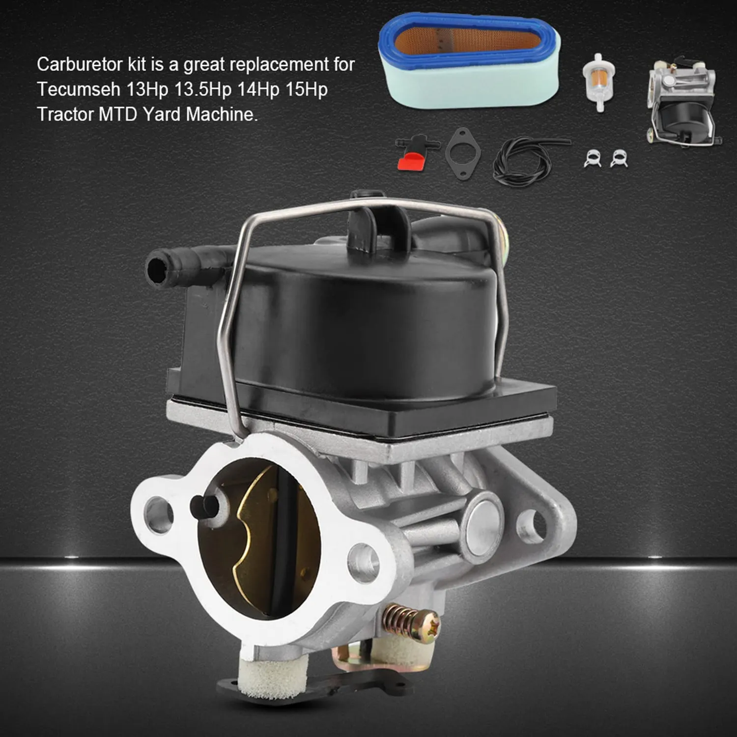 Garosa 640065A carburateur Tecumseh avec filtres et durite