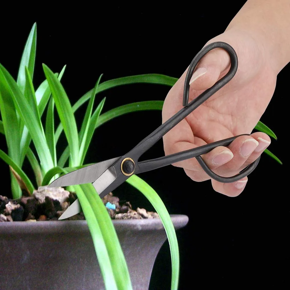 Garosa ciseaux d’élagage 205 mm en acier inoxydable à pointes fines