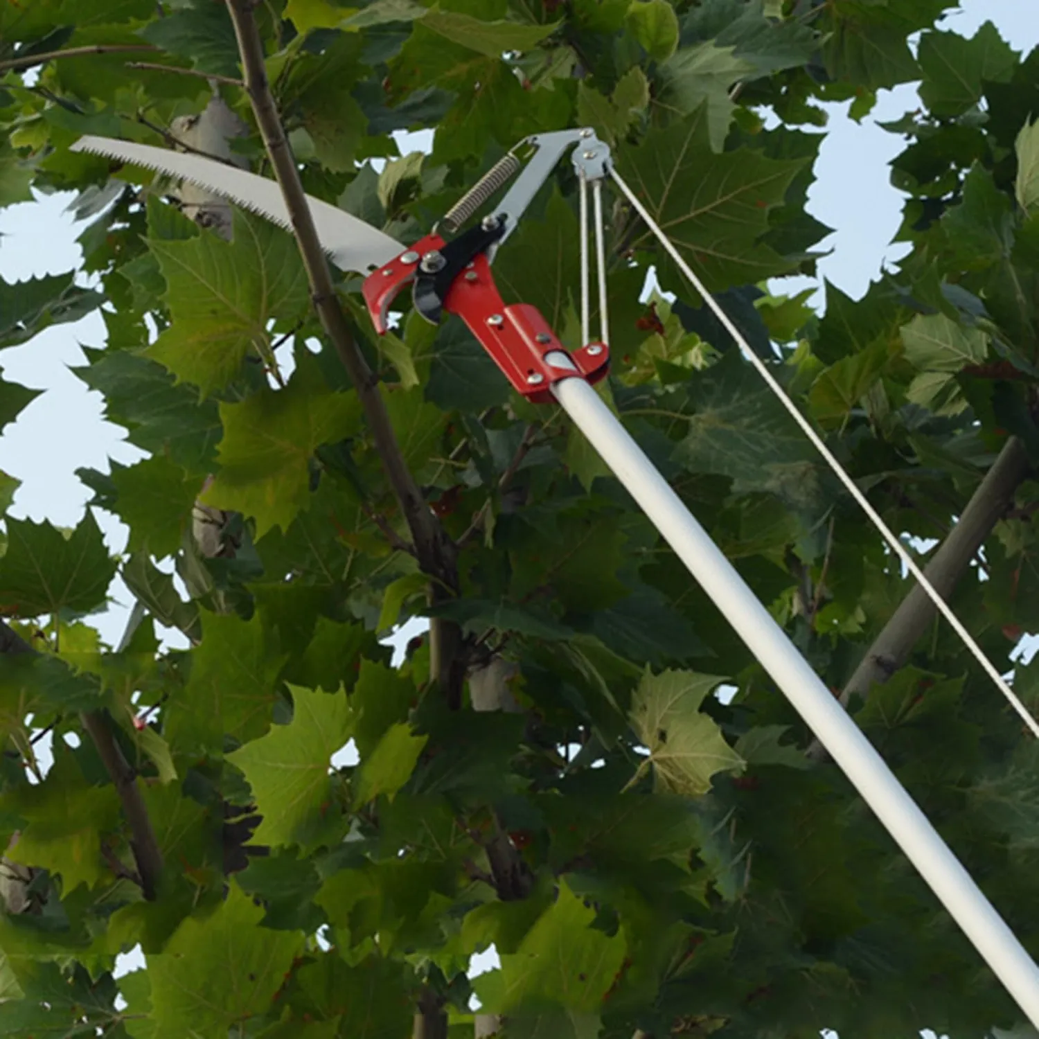 Garosa tête d’élagage à 4 roues scie et taille-haie sans perche