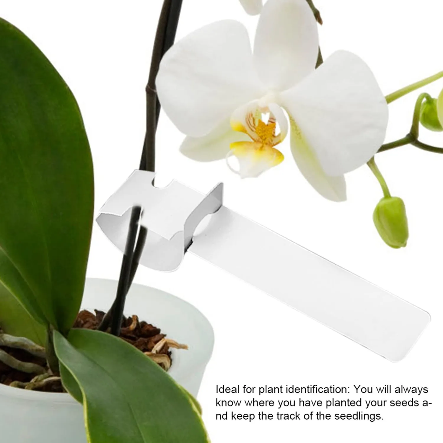 Garosa étiquettes de jardin à boucle blanches, lot de 100 en PVC