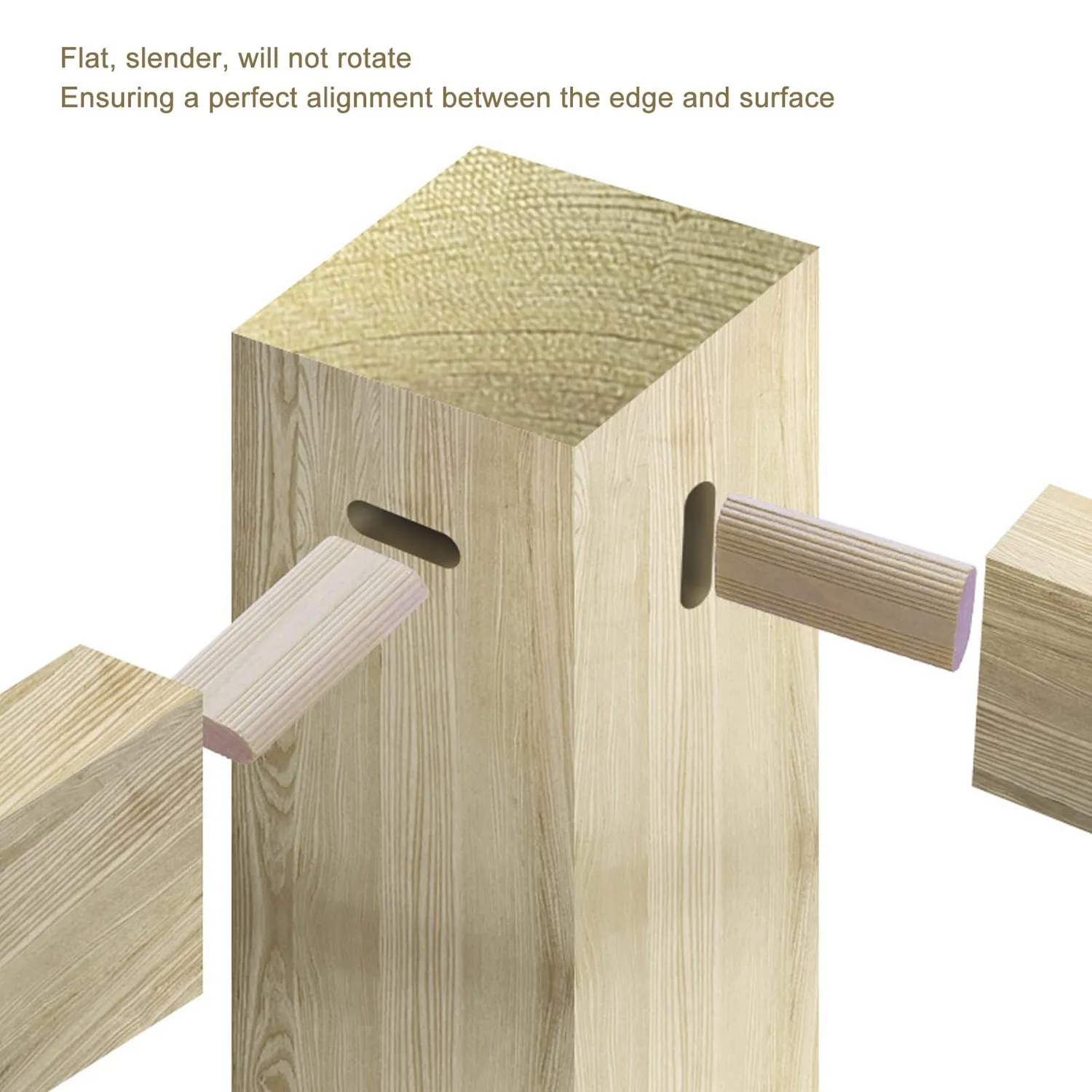 Garosa tenons plats 10 × 50 mm, 50 pièces, hêtre massif