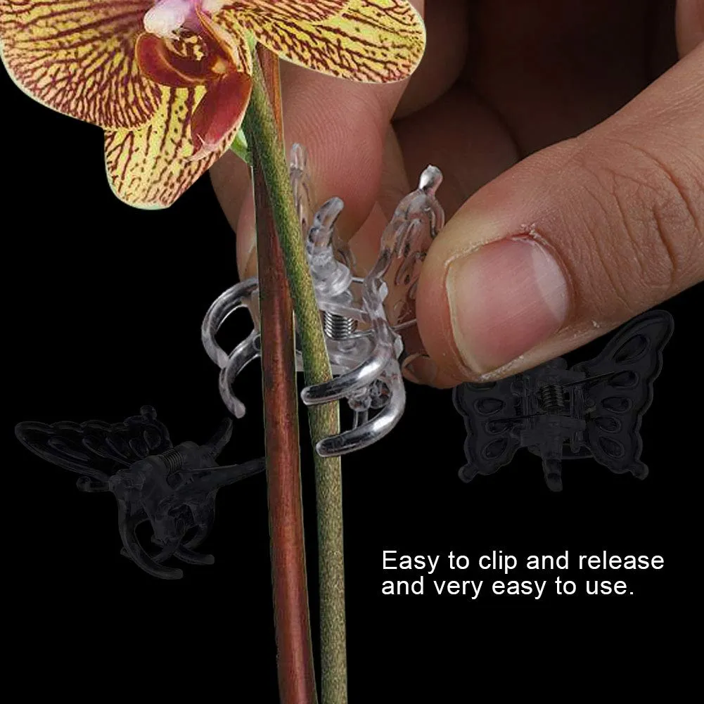 Garosa pinces orchidée 100 pièces transparentes