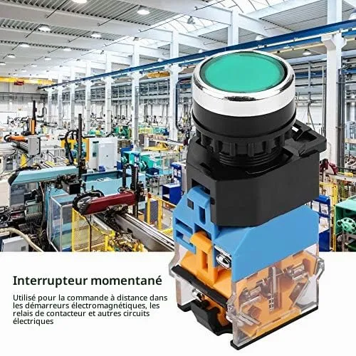 Garosa bouton-poussoir momentané 22 mm 220 V LED verte tête plate
