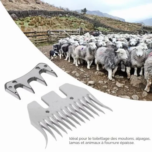 Garosa lame de tonte 13 dents pour mouton acier carbone 2 pièces incurvées