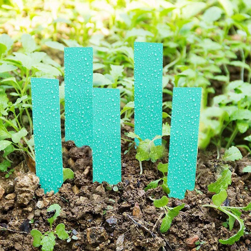 Garosa étiquettes plantes PVC vert 10 cm lot 100