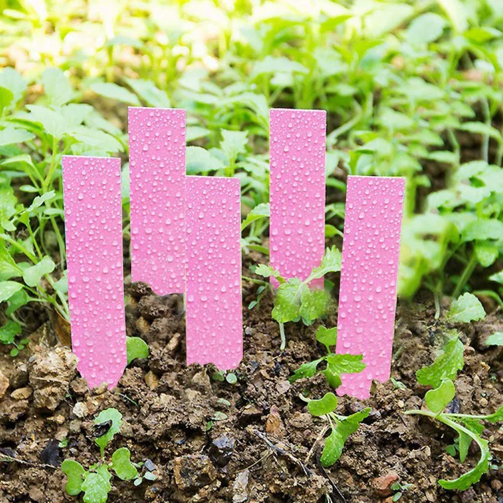 Garosa étiquettes plantes plastique 100 pcs rose 10 cm
