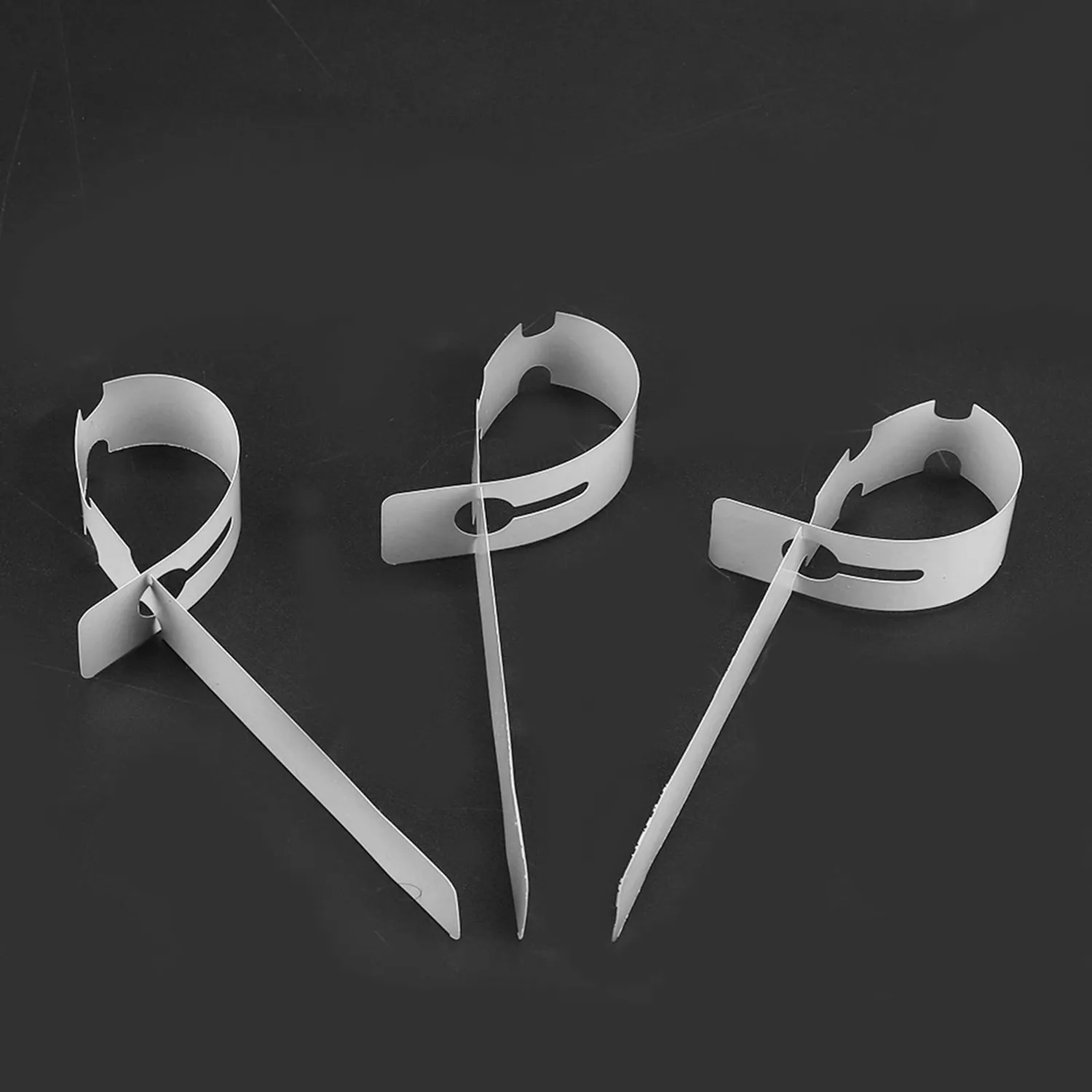 Garosa étiquettes de jardin à boucle blanches, lot de 100 en PVC